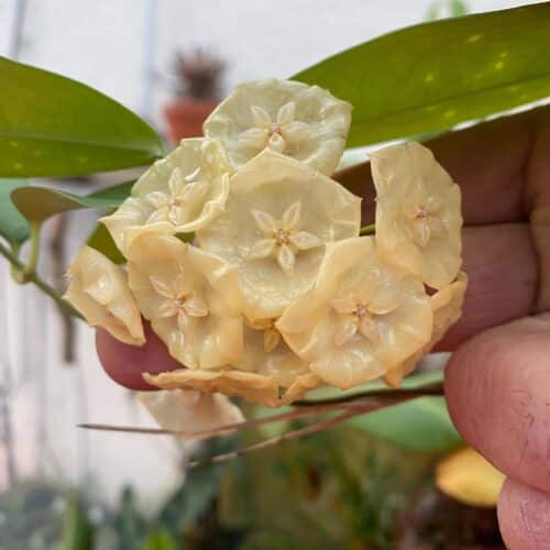 acvTXiu3hzLrbaL7ZpFM.jpg acvTXiu3hzLrbaL7ZpFM.jpg