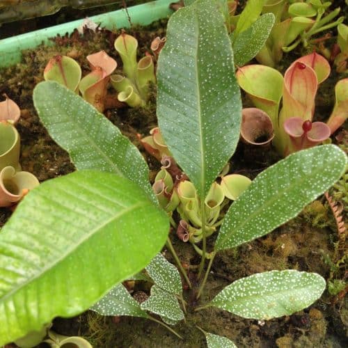 ahEOSkpYZmiiIRvK8WB2.jpg ahEOSkpYZmiiIRvK8WB2.jpg