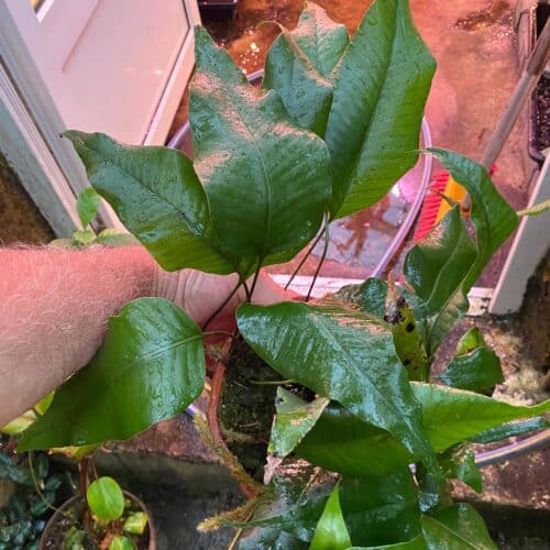 ahkwo4Dt3ksDIJV3GnSr.jpg ahkwo4Dt3ksDIJV3GnSr.jpg