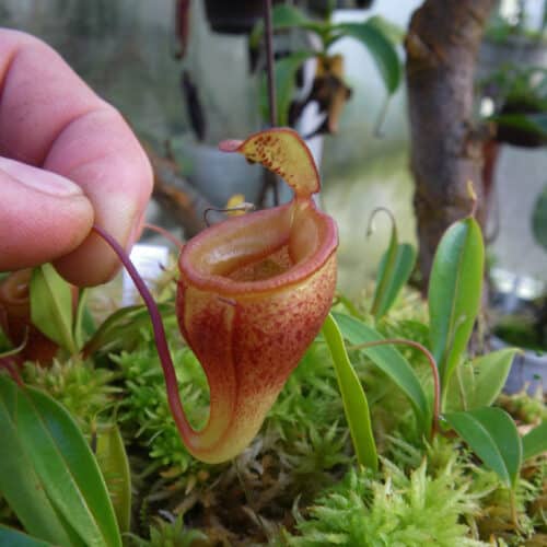 alM8EcK2lq4XnH0Eqbv8.jpg alM8EcK2lq4XnH0Eqbv8.jpg