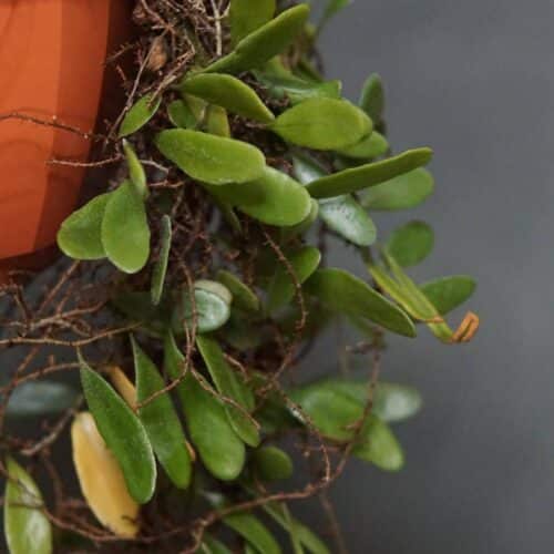 ao99iFV32tDyyoKAKwiv.jpg ao99iFV32tDyyoKAKwiv.jpg