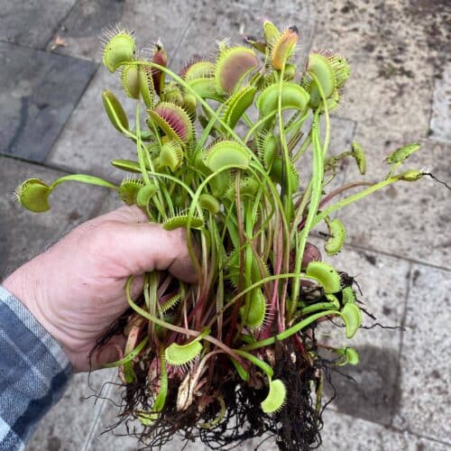 aopv1v3L8YqOB95yHS5l-1.jpg aopv1v3L8YqOB95yHS5l-1.jpg