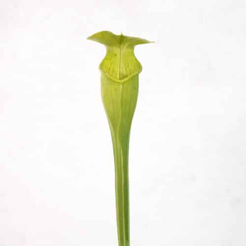 appSNyYvc7WyGE6PAcEa.jpg appSNyYvc7WyGE6PAcEa.jpg