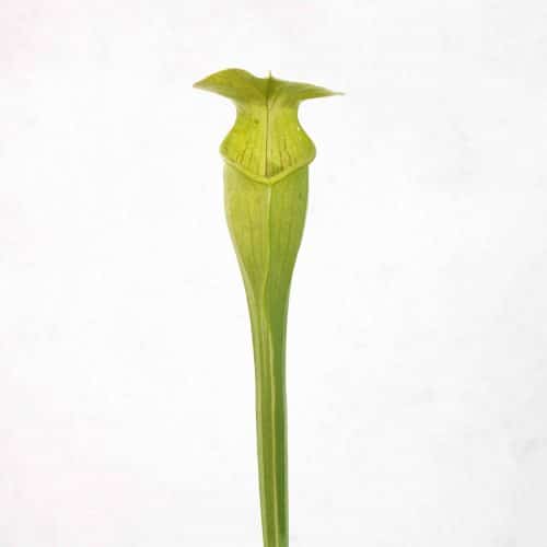 appSNyYvc7WyGE6PAcEa.jpg appSNyYvc7WyGE6PAcEa.jpg