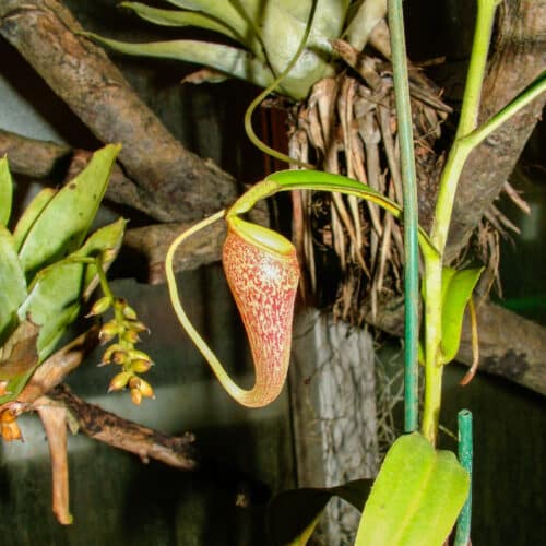 atPtDO4ORNPodFAzAKqX.jpg atPtDO4ORNPodFAzAKqX.jpg