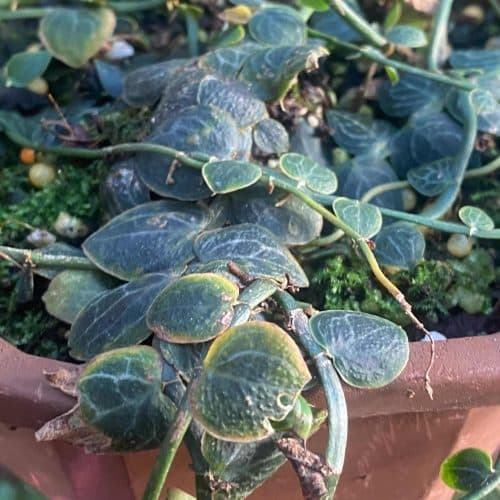 awvB5RMXM7vBYae7MC8O.jpg awvB5RMXM7vBYae7MC8O.jpg