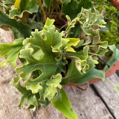 b7X8PySOKbcLqAYPrbHM.jpg b7X8PySOKbcLqAYPrbHM.jpg