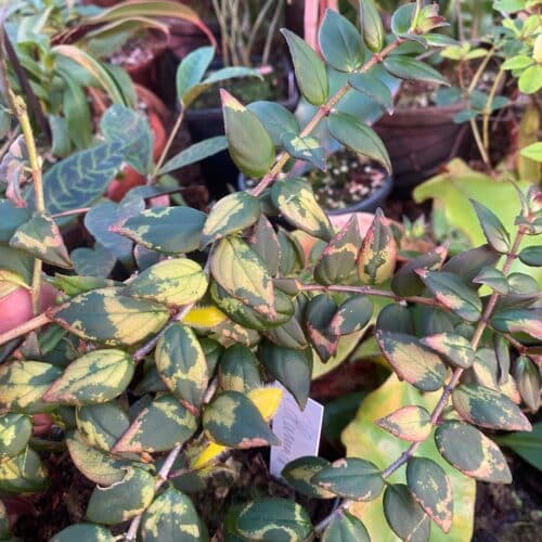 bCGXANiRsNfA8ZqQVcgA.jpg bCGXANiRsNfA8ZqQVcgA.jpg