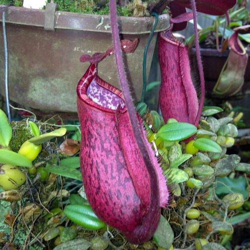 bLEOg3tbCFuskYrnWAbd.jpg bLEOg3tbCFuskYrnWAbd.jpg