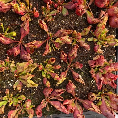 bTjFtJWsat26vc3GzBYo.jpg bTjFtJWsat26vc3GzBYo.jpg