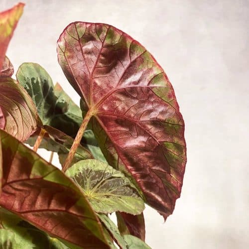 bXoQlV5Mz0fV2gF4osrG.jpg bXoQlV5Mz0fV2gF4osrG.jpg