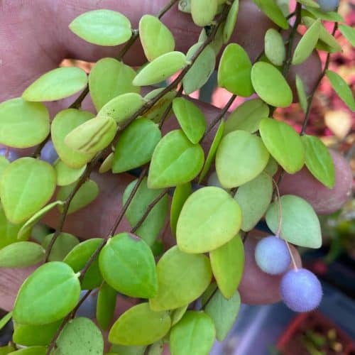 bkUCZ7QrJP5xbyS2hyYu.jpg bkUCZ7QrJP5xbyS2hyYu.jpg