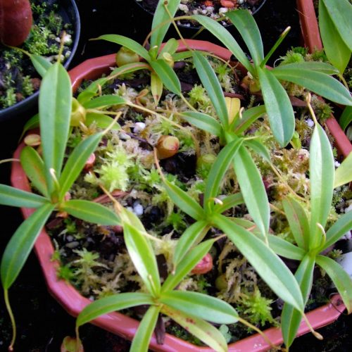 botbojwzvIFAnHQLqn8U.jpg botbojwzvIFAnHQLqn8U.jpg