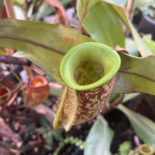 c9K21Qnvjo06kUYEgt2X.jpg c9K21Qnvjo06kUYEgt2X.jpg