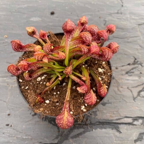 cBmscUwQ3a6KMkUycvWu.jpg cBmscUwQ3a6KMkUycvWu.jpg