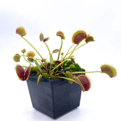 cFh0cdxxN0kJwLOPdQy7-1.jpg cFh0cdxxN0kJwLOPdQy7-1.jpg