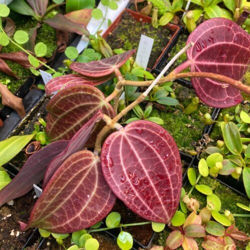 cPZCUfSDdXynyUU0hY1c.jpg cPZCUfSDdXynyUU0hY1c.jpg