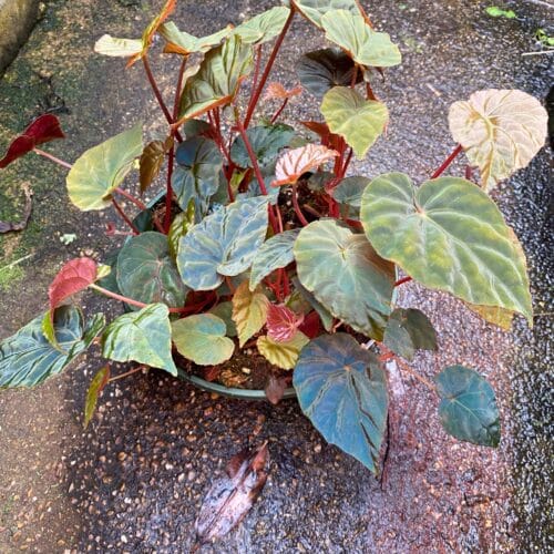 ceqIR41VzbndJ8qyiALa.jpg ceqIR41VzbndJ8qyiALa.jpg