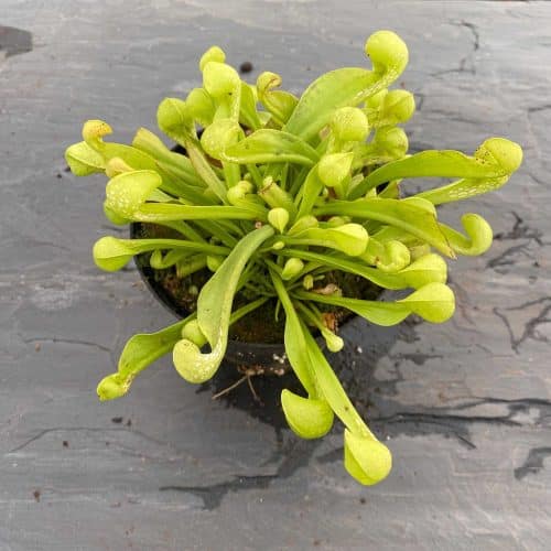 cfywc0zLChep2ycA3bRl.jpg cfywc0zLChep2ycA3bRl.jpg