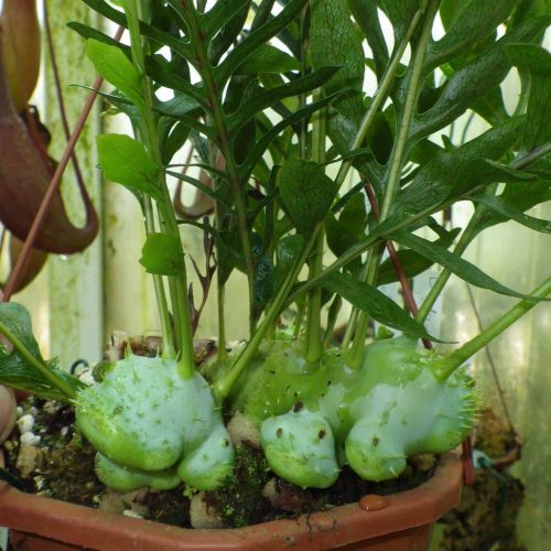 d4cXp02PaMkwnjUBiMqv.jpg d4cXp02PaMkwnjUBiMqv.jpg