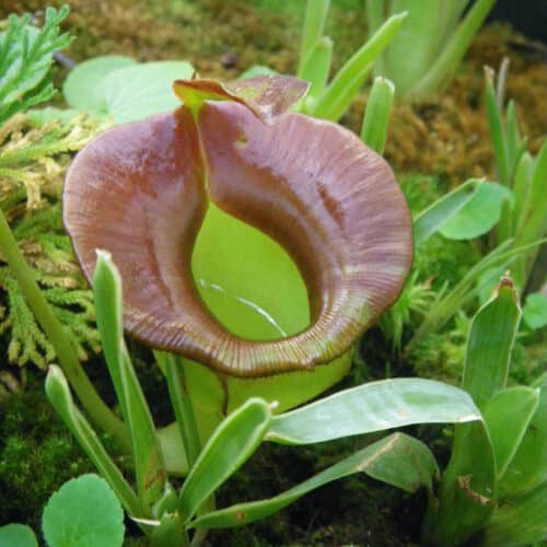 dDXZqylquRervijFySgP.jpg dDXZqylquRervijFySgP.jpg