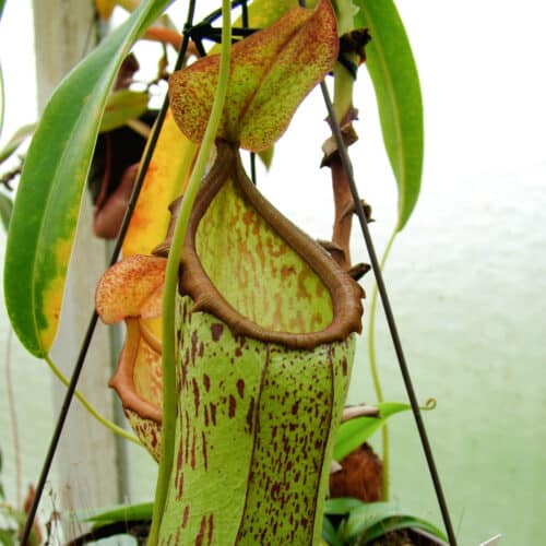 dHq68mdVbUUwmUtUFIRH.jpg dHq68mdVbUUwmUtUFIRH.jpg