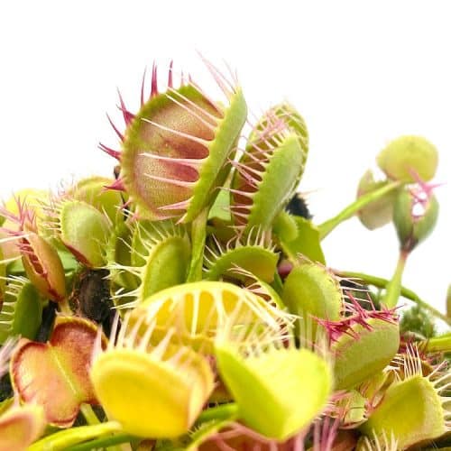 dJG4amewT2Dm9KI2Glw6-1.jpg dJG4amewT2Dm9KI2Glw6-1.jpg