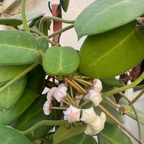 dKQOIeIKbZhp68H34GSM.jpg dKQOIeIKbZhp68H34GSM.jpg