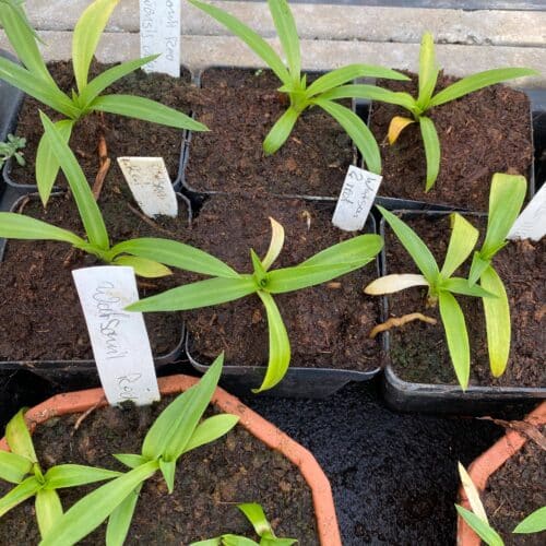 dLf6SmgqiHOQSrie8y6M.jpg dLf6SmgqiHOQSrie8y6M.jpg