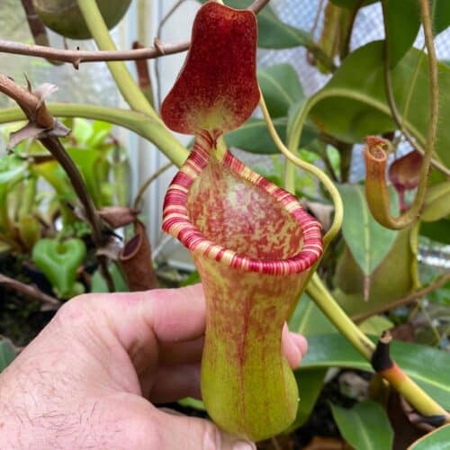 dMbnL0OOKibok4qbTJ8I.jpg dMbnL0OOKibok4qbTJ8I.jpg