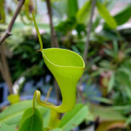 dSpNYtSZYQou0Em1b75G.jpg dSpNYtSZYQou0Em1b75G.jpg