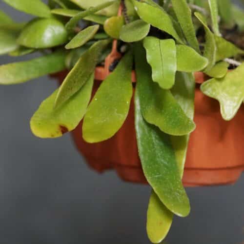 dT6haR7EEan9Km287TMY.jpg dT6haR7EEan9Km287TMY.jpg