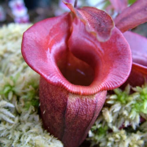 dTU8C8BEpCUh5S9xOPMv.jpg dTU8C8BEpCUh5S9xOPMv.jpg