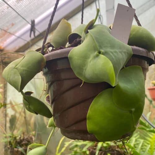 ddUjT86C29kan4lkGPqA.jpg ddUjT86C29kan4lkGPqA.jpg