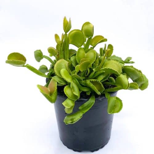 dvNCLNFB5nOTHmhff7jB-1.jpg dvNCLNFB5nOTHmhff7jB-1.jpg