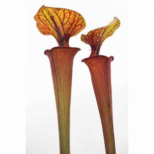 dxiESQoMEjmECudctwZ2.jpg dxiESQoMEjmECudctwZ2.jpg