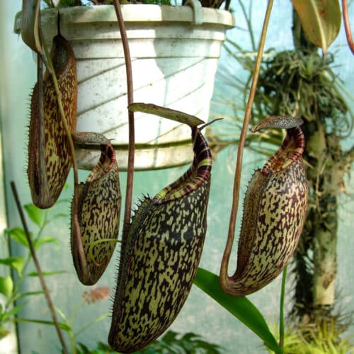 e5G5OKGfajk8Wf4Hcs1Y.jpg e5G5OKGfajk8Wf4Hcs1Y.jpg