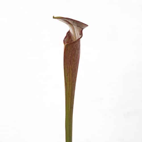 eFvAmelfgkElBzZJQUKR.jpg eFvAmelfgkElBzZJQUKR.jpg