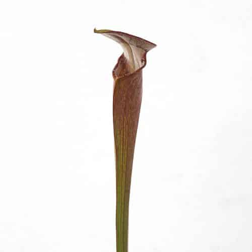 eFvAmelfgkElBzZJQUKR.jpg eFvAmelfgkElBzZJQUKR.jpg