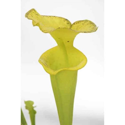 eSySPXMkp5dMQSnY2IFi.jpg eSySPXMkp5dMQSnY2IFi.jpg