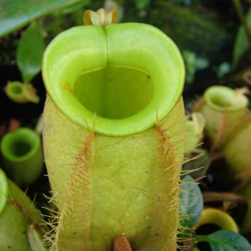 eawp4fCJjpsEU4vw4g9o.jpg eawp4fCJjpsEU4vw4g9o.jpg