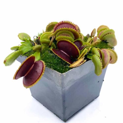 ecg34YhWH0BtIH1iqpxv.jpg ecg34YhWH0BtIH1iqpxv.jpg