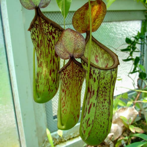 eoIWAQyls5lLHsr6VShi.jpg eoIWAQyls5lLHsr6VShi.jpg