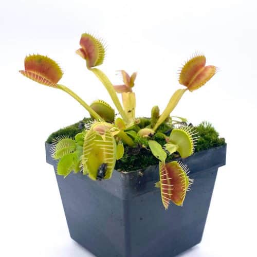 eq2FKpXmoxT2jVRjqcNB-1.jpg eq2FKpXmoxT2jVRjqcNB-1.jpg