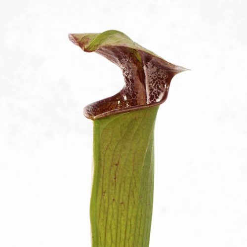 erVXnG79y7SNxjX0FnvB.jpg erVXnG79y7SNxjX0FnvB.jpg