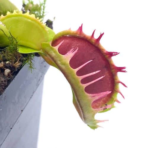 esJ7zudZUrQ99Frzy6F8-1.jpg esJ7zudZUrQ99Frzy6F8-1.jpg