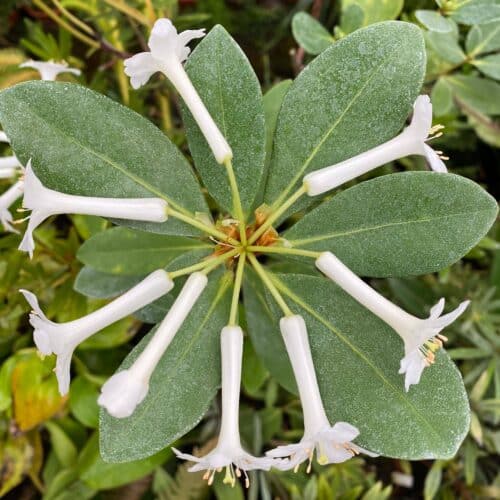 ewyZDCaaULyao3KCm2Bn.jpg ewyZDCaaULyao3KCm2Bn.jpg