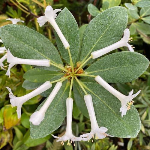 ewyZDCaaULyao3KCm2Bn.jpg ewyZDCaaULyao3KCm2Bn.jpg