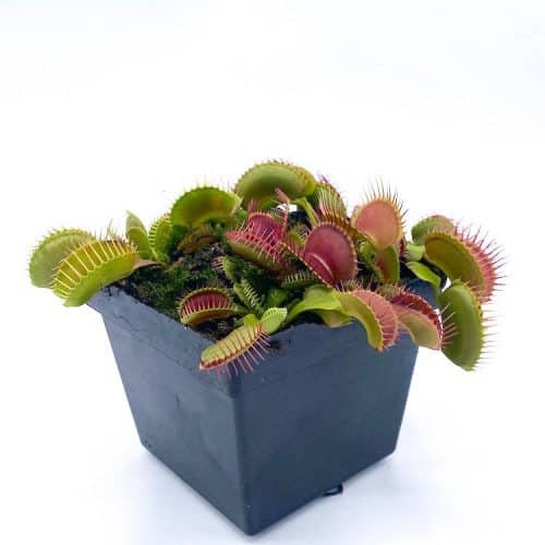 exFkK6K0nQpYojWrTMdD-1.jpg exFkK6K0nQpYojWrTMdD-1.jpg