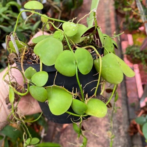 eyMiJuzovruX1KaW2wsC.jpg eyMiJuzovruX1KaW2wsC.jpg